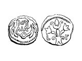 Coin of Valerius Gratus 16 AD